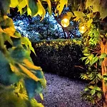 Castellare