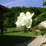 Castellare Villa