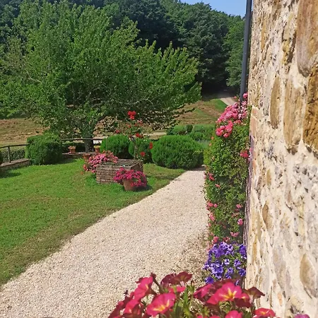 Castellare *