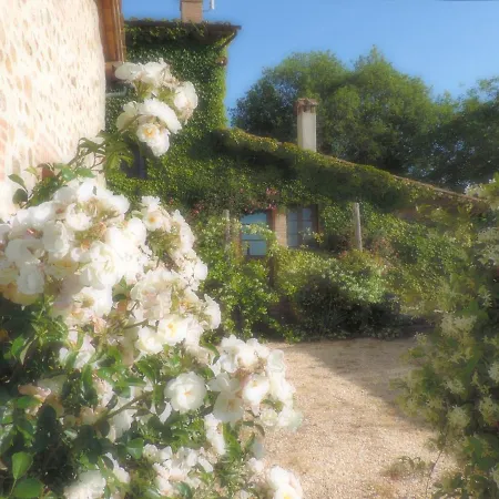 Вилла Castellare