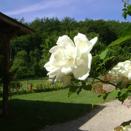 Castellare Villa