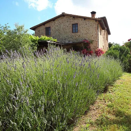 Villa Castellare