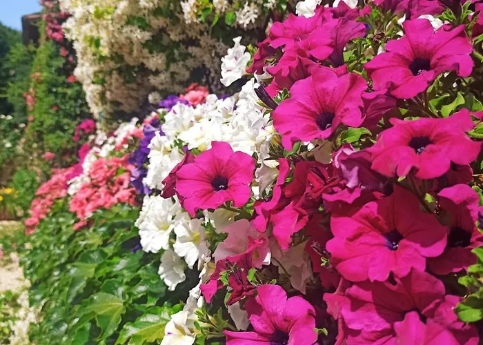 וילה Castellare קיוסדינו