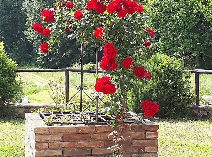 Castellare *